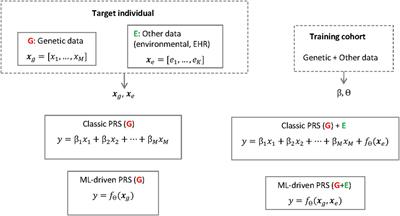 Ethical layering in AI-driven polygenic risk scores—New complexities, new challenges